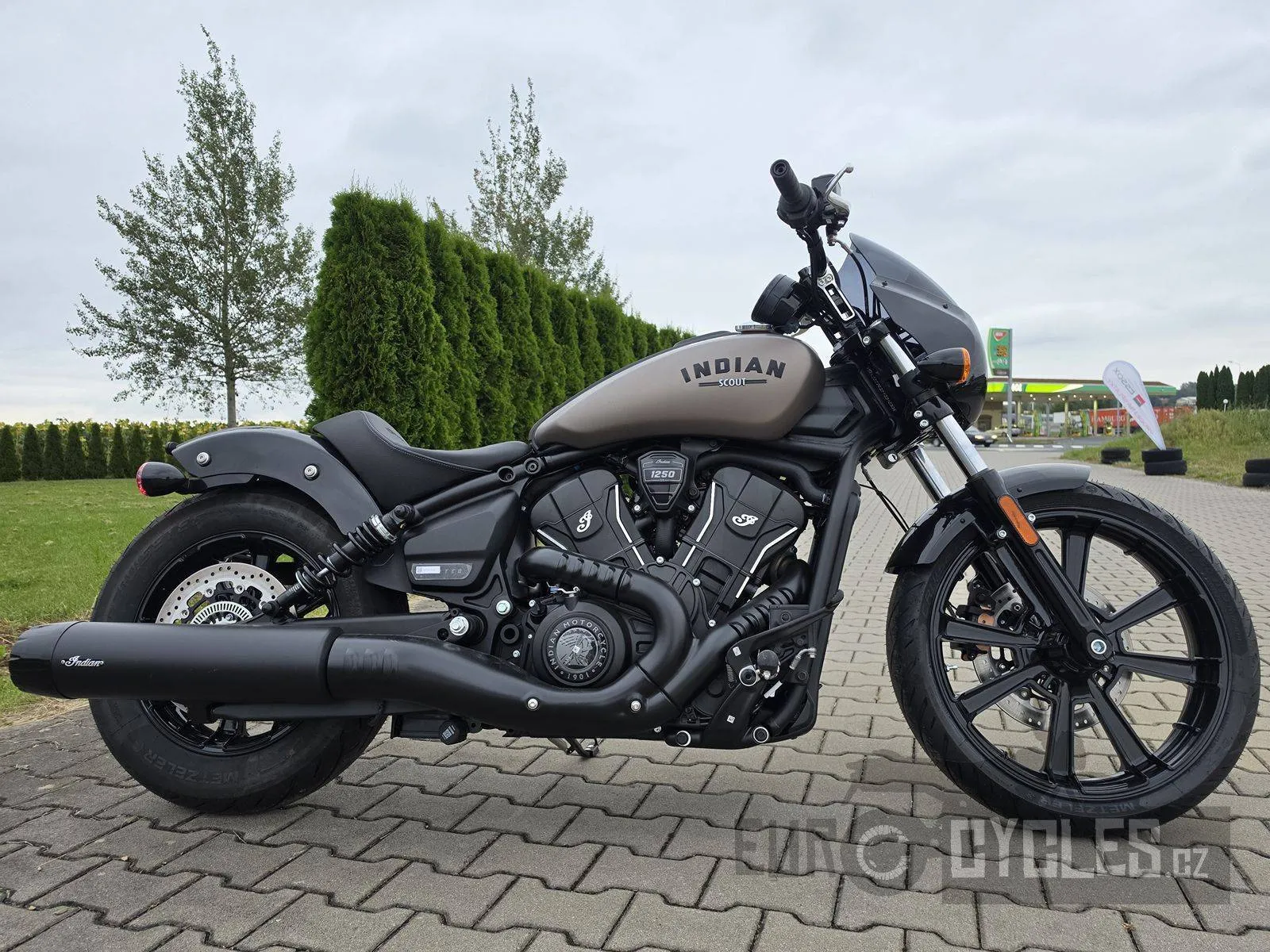 Indian Scout